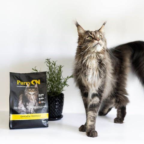 PurryON Hähnchen 1 kg