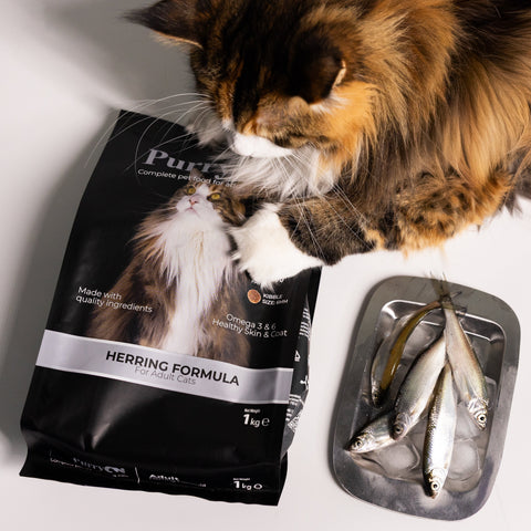PurryON Hering 1 kg