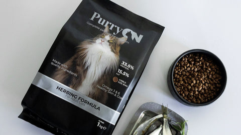 Opakowanie PurryON Herring, miska karmy i świeże śledzie