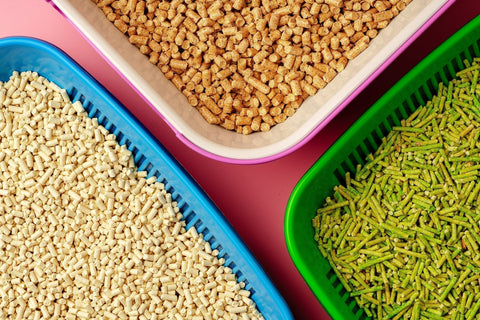 Bentonite, Wood, or Tofu Cat Litter: Which Should You Choose?