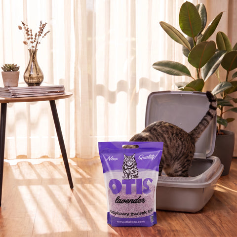 OTIS tofu żwirek dla kota lawendowy 6l