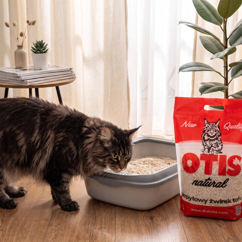 Żwirek tofu OTIS naturalny 6l